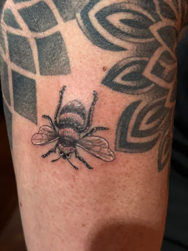 Close up of the black and grey bee tattoo by Chyloe at Golden Tarot Ink Club
